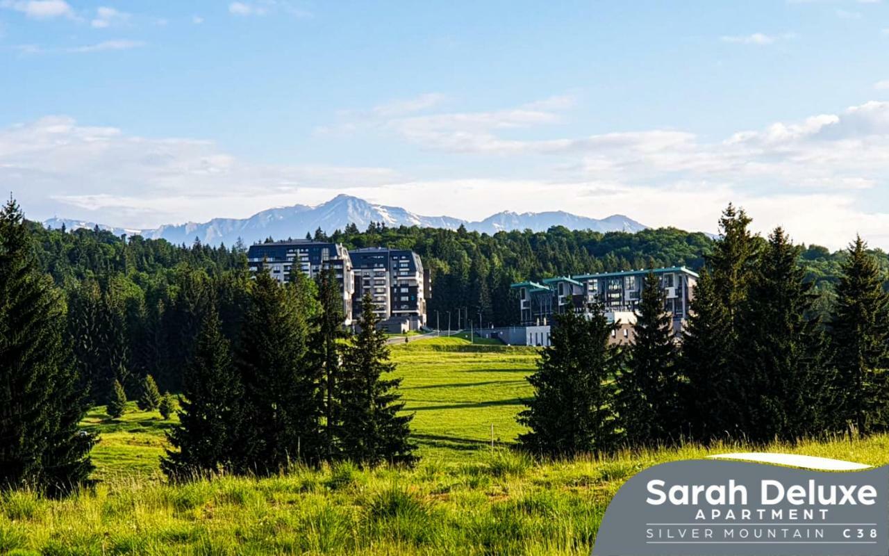 Sarah Deluxe Apartment In Silver Mountain Poiana Brașov Zewnętrze zdjęcie